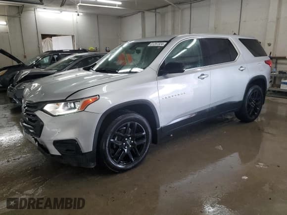 ✅ 2020 Chevrolet Traverse LS • VIN: 1GNERFKW1LJ130830 • Lot: 61297324. Wystawiony na Copart z przebiegiem 97 301 mil. Bezpłatny archiwum sprzedaży aukcyjnych z USA i szczegółowy raport historii pojazdu na DreamBid. Zdjęcie 1.