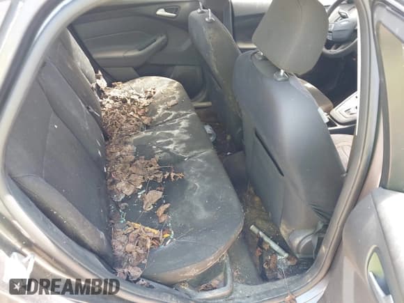 ✅ 2015 Ford Focus SE • VIN: 1FADP3F2XFL228561 • Lot: 42796493. Listed on IAAI with 181,608 mi. Free auction sales archive from the USA and detailed vehicle history report at DreamBid. Image 8.