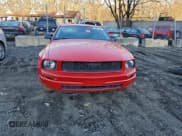 ✅ 2005 Ford Mustang Deluxe • VIN: 1ZVFT80NX55156923 • Lot: 96801755. Listed on Copart with Not provided. Free auction sales archive from the USA and detailed vehicle history report at DreamBid. Image 5.