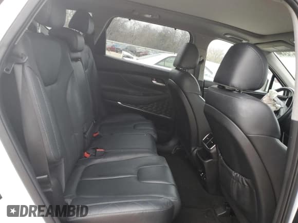 ✅ 2019 Hyundai Santa Fe Limited • VIN: 5NMS53AA0KH036857 • Lot: 82245243. Wystawiony na Copart z przebiegiem 83 069 mil. Bezpłatny archiwum sprzedaży aukcyjnych z USA i szczegółowy raport historii pojazdu na DreamBid. Zdjęcie 10.