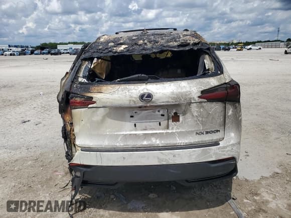 ✅ 2017 Lexus NX 300h • VIN: JTJBJRBZ9H2054688 • Лот: 69990075. Опубликован ранее на Copart с пробегом Не указан. Бесплатный доступ к архиву аукционных продаж из США и подробный отчёт об истории автомобиля на DreamBid. Изображение 6.