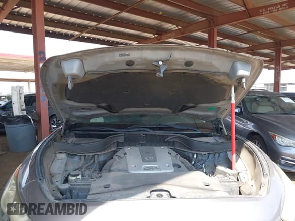 ✅ 2010 Infiniti FX • VIN: JN8AS1MU9AM801123 • Lot: 43072397. Wystawiony na IAAI z przebiegiem 165 157 mil. Bezpłatny archiwum sprzedaży aukcyjnych z USA i szczegółowy raport historii pojazdu na DreamBid. Zdjęcie 10.