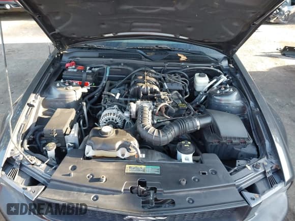 ✅ 2007 Ford Mustang Deluxe • VIN: 1ZVFT84N075346114 • Lot: 43362587. Listed on IAAI with 68,756 mi. Free auction sales archive from the USA and detailed vehicle history report at DreamBid. Image 10.