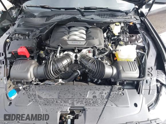 ✅ 2024 Ford Mustang GT • VIN: 1FA6P8CF3R5417168 • Lot: 43300904. Listed on IAAI with 7,430 mi. Free auction sales archive from the USA and detailed vehicle history report at DreamBid. Image 10.