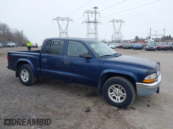 ✅ 2003 Dodge Dakota SLT • VIN: 1D7HL48X23S261258 • Lot: 41362485. Wystawiony na IAAI z przebiegiem 143 397 mil. Bezpłatny archiwum sprzedaży aukcyjnych z USA i szczegółowy raport historii pojazdu na DreamBid. Zdjęcie 6.
