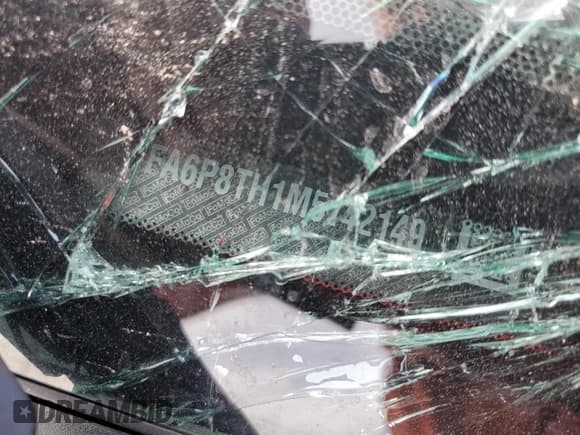 ✅ 2021 Ford Mustang EcoBoost • VIN: 1FA6P8TH1M5142149 • Lot: 81093835. Listed on Copart with Not provided. Free auction sales archive from the USA and detailed vehicle history report at DreamBid. Image 12.