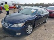 ✅ 2011 Lexus ES 330 • VIN: JTHBK1EGXB2426783 • Lot: 43689159. Listed on IAAI with 48,999 mi. Free auction sales archive from the USA and detailed vehicle history report at DreamBid. Image 6.