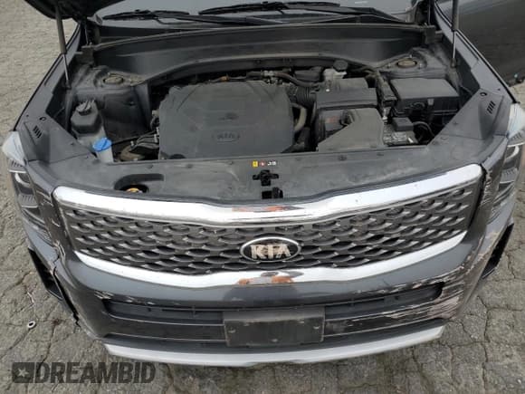 ✅ 2020 Kia Telluride LX • VIN: 5XYP24HCXLG092182 • Lot: 52809635. Wystawiony na Copart z przebiegiem 39 084 mil. Bezpłatny archiwum sprzedaży aukcyjnych z USA i szczegółowy raport historii pojazdu na DreamBid. Zdjęcie 12.