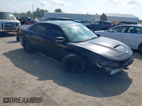 ✅ 2017 Dodge Charger Daytona 340 • VIN: 2C3CDXCT7HH520255 • Lot: 42724752. Wystawiony na IAAI z przebiegiem 159 053 mil. Bezpłatny archiwum sprzedaży aukcyjnych z USA i szczegółowy raport historii pojazdu na DreamBid. Zdjęcie 1.