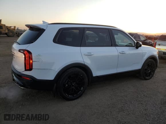 ✅ 2022 Kia Telluride SX • VIN: 5XYP5DHC3NG292895 • Lot: 91164855. Listed on Copart with 35,089 mi. Free auction sales archive from the USA and detailed vehicle history report at DreamBid. Image 3.