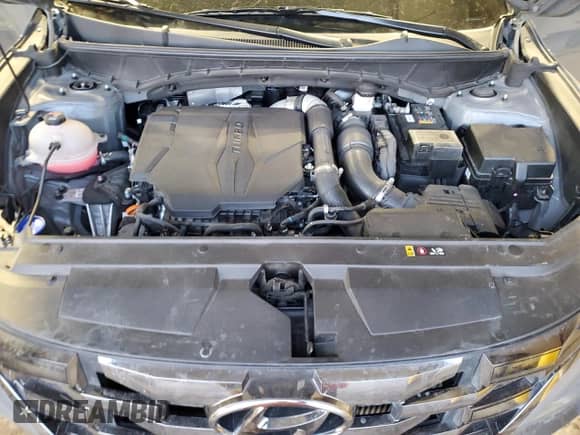 2023 Hyundai Santa Cruz Limited with VIN 5NTJEDAF9PH042455, listed as a Copart auction lot 42998545 with 43,955 mi miles and Salvage title. Bid and sale history available at DreamBid. Image 11.