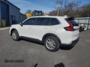 ✅ 2024 Honda CR-V EX-L • VIN: 2HKRS4H73RH460988 • Lot: 91208235. Wystawiony na Copart z przebiegiem 9 832 mil. Bezpłatny archiwum sprzedaży aukcyjnych z USA i szczegółowy raport historii pojazdu na DreamBid. Zdjęcie 2.