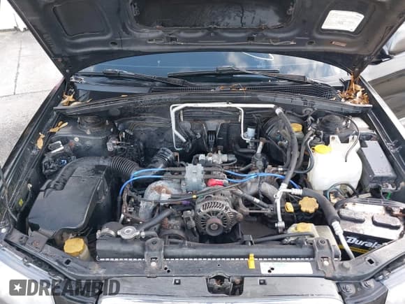 ✅ 2004 Subaru Forester X • VIN: JF1SG65694G764338 • Lot: 43741444. Listed on IAAI with 284,120 mi. Free auction sales archive from the USA and detailed vehicle history report at DreamBid. Image 10.