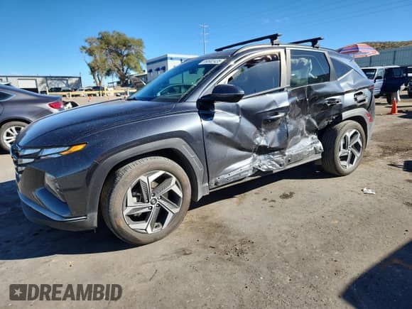 2024 Hyundai Tucson SEL with VIN 5NMJF3DE4RH360007, listed as a Copart auction lot 89502435 with 17,503 mi miles and Salvage title. Bid and sale history available at DreamBid. Image 1.