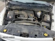 ✅ 2010 Dodge 1500 Sport • VIN: 1D7RV1CT8AS191778 • Lot: 61548745. Wystawiony na Copart z przebiegiem 169 595 mil. Bezpłatny archiwum sprzedaży aukcyjnych z USA i szczegółowy raport historii pojazdu na DreamBid. Zdjęcie 11.