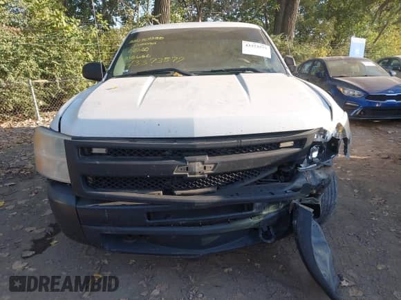 2010 Chevrolet Silverado 1500 Work Truck z VIN 1GCPCPEA1AZ215626, wystawiony jako IAAI lot #43373577 z przebiegiem 286 892 mil mil oraz . Historia ofert i sprzedaży dostępna na DreamBid. Obrazek 11.