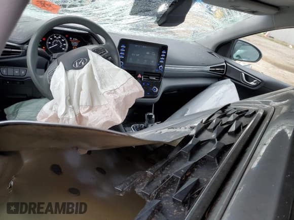 ✅ 2020 Hyundai Ioniq Blue • VIN: KMHC65LC1LU210839 • Lot: 46626885. Wystawiony na Copart z przebiegiem 122 866 mil. Bezpłatny archiwum sprzedaży aukcyjnych z USA i szczegółowy raport historii pojazdu na DreamBid. Zdjęcie 8.