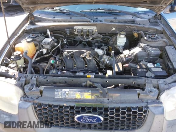 ✅ 2005 Ford Escape XLT • VIN: 1FMYU03155KA43963 • Lot: 43908851. Listed on IAAI with 164,812 mi. Free auction sales archive from the USA and detailed vehicle history report at DreamBid. Image 10.