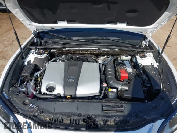 ✅ 2025 Lexus ES 350 • VIN: 58ADZ1B15SU199856 • Lot: 41980952. Listed on IAAI with 907 mi. Free auction sales archive from the USA and detailed vehicle history report at DreamBid. Image 10.