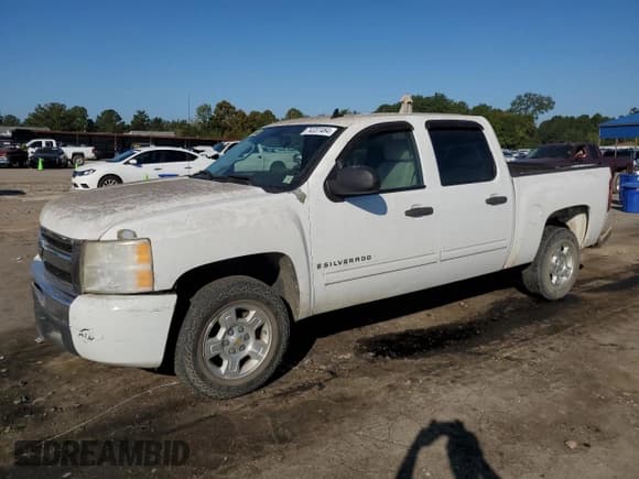 ✅ 2009 Chevrolet Silverado 1500 LT • VIN: 3GCEC23059G240416 • Lot: 74337464. Listed on Copart with 99,098 mi. Free auction sales archive from the USA and detailed vehicle history report at DreamBid. Image 1.