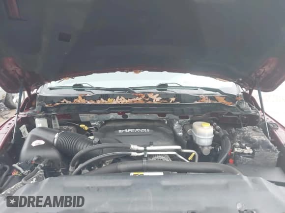 ✅ 2017 Ram 2500 Tradesman • VIN: 3C6UR5CJ8HG630341 • Lot: 41452697. Wystawiony na IAAI z przebiegiem 90 855 mil. Bezpłatny archiwum sprzedaży aukcyjnych z USA i szczegółowy raport historii pojazdu na DreamBid. Zdjęcie 10.