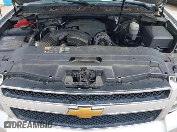 ✅ 2014 Chevrolet Suburban LS • VIN: 1GNSCHE06ER231731 • Lot: 43303711. Wystawiony na IAAI z przebiegiem 209 033 mil. Bezpłatny archiwum sprzedaży aukcyjnych z USA i szczegółowy raport historii pojazdu na DreamBid. Zdjęcie 10.