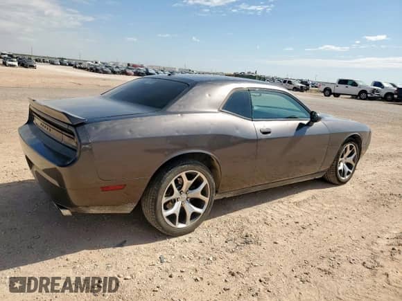 2014 Dodge Challenger Rallye Redline with VIN 2C3CDYAG4EH299155, listed as a Copart auction lot 62533095 with 162,679 mi miles and Clean title. Bid and sale history available at DreamBid. Image 3.