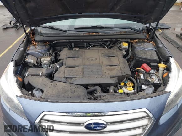✅ 2015 Subaru Outback Limited • VIN: 4S4BSENC8F3246462 • Lot: 43340884. Listed on IAAI with 171,060 mi. Free auction sales archive from the USA and detailed vehicle history report at DreamBid. Image 10.