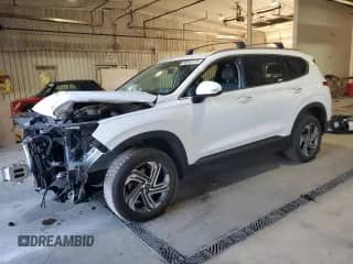 2023 Hyundai Santa Fe SEL z VIN 5NMS2DAJ4PH621706, wystawiony jako Copart lot #80063175 z przebiegiem 47 386 mil mil oraz Szkoda całkowita • Salvage title. Historia ofert i sprzedaży dostępna na DreamBid. Obrazek 1.