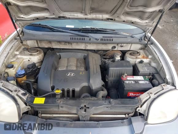 2003 Hyundai Santa Fe GLS с VIN KM8SC13D73U404717, выставлен на аукционе IAAI как лот 39736360 с пробегом 200 869 миль миль и . История ставок и продаж доступна на DreamBid. Изображение 10.