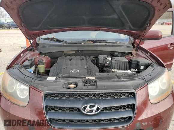 ✅ 2008 Hyundai Santa Fe GLS • VIN: 5NMSG13D28H180196 • Lot: 80525734. Listed on Copart with 216,492 mi. Free auction sales archive from the USA and detailed vehicle history report at DreamBid. Image 11.