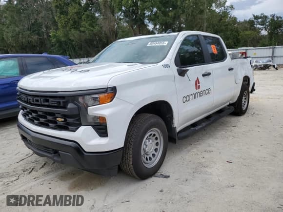 ✅ 2025 Chevrolet Silverado 1500 Work Truck • VIN: 1GCPAAEK2SZ103480 • Lot: 80484055. Listed on Copart with 41,027 mi. Free auction sales archive from the USA and detailed vehicle history report at DreamBid. Image 1.