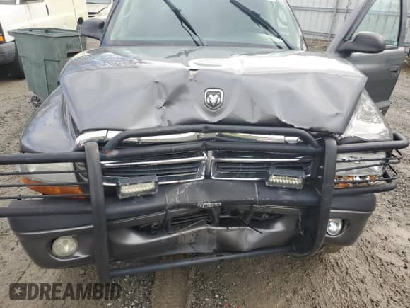 2004 Dodge Dakota Sport with VIN 1D7HG38N04S504239, listed as a Copart auction lot 75068004 with 194,197 mi miles and Salvage title. Bid and sale history available at DreamBid. Image 11.