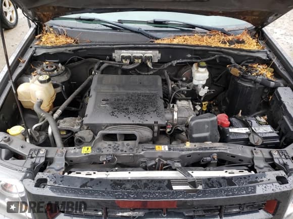 ✅ 2011 Ford Escape XLT • VIN: 1FMCU9DG2BKB69534 • Лот: 54678655. Опубликован ранее на Copart с пробегом 191 733 миль. Бесплатный доступ к архиву аукционных продаж из США и подробный отчёт об истории автомобиля на DreamBid. Изображение 11.