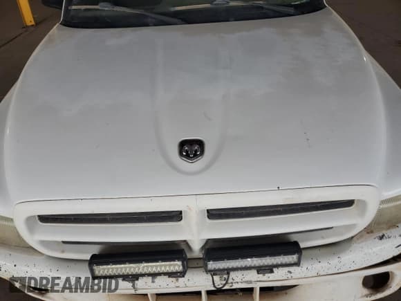 ✅ 1998 Dodge Dakota SLT • VIN: 1B7GL22X1WS652280 • Lot: 50545805. Wystawiony na Copart z przebiegiem Nie podano. Bezpłatny archiwum sprzedaży aukcyjnych z USA i szczegółowy raport historii pojazdu na DreamBid. Zdjęcie 11.