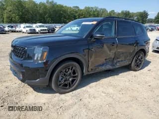 ✅ 2024 Kia Telluride SX X-Line • VIN: 5XYP5DGC1RG475851 • Lot: 84621345. Listed on Copart with 49,494 mi. Free auction sales archive from the USA and detailed vehicle history report at DreamBid. Image 1.