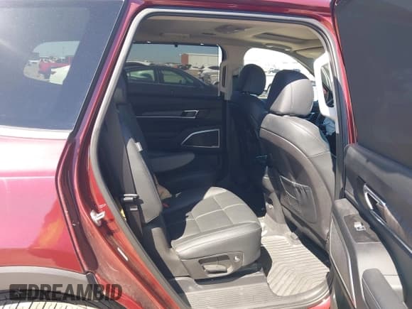 ✅ 2023 Kia Telluride EX • VIN: 5XYP34GCXPG393443 • Lot: 41661830. Listed on IAAI with 56,434 mi. Free auction sales archive from the USA and detailed vehicle history report at DreamBid. Image 8.