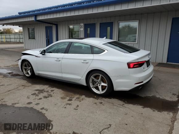✅ 2019 Audi A5 Sportback Premium Plus • VIN: WAUENCF55KA076433 • Lot: 87430205. Listed on Copart with 48,491 mi. Free auction sales archive from the USA and detailed vehicle history report at DreamBid. Image 2.
