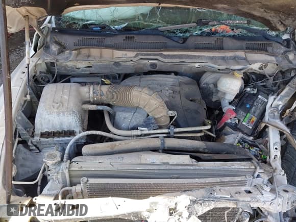 ✅ 2009 Dodge 1500 Laramie • VIN: 1D3HV13TX9J519720 • Lot: 42055968. Wystawiony na IAAI z przebiegiem 190 226 mil. Bezpłatny archiwum sprzedaży aukcyjnych z USA i szczegółowy raport historii pojazdu na DreamBid. Zdjęcie 10.