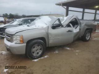 ✅ 2009 Chevrolet Silverado 1500 • VIN: 2GCEC23J191140301 • Lot: 45950505. Wystawiony na Copart z przebiegiem Nie podano. Bezpłatny archiwum sprzedaży aukcyjnych z USA i szczegółowy raport historii pojazdu na DreamBid. Zdjęcie 1.