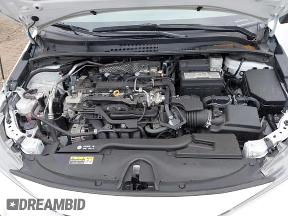 ✅ 2024 Toyota Corolla LE • VIN: 5YFB4MDE4RP091772 • Lot: 43266243. Wystawiony na IAAI z przebiegiem 49 010 mil. Bezpłatny archiwum sprzedaży aukcyjnych z USA i szczegółowy raport historii pojazdu na DreamBid. Zdjęcie 10.