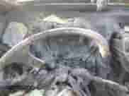 ✅ 2010 Hyundai Tucson GLS • VIN: KM8JUCAC5AU041409 • Lot: 50356175. Wystawiony na Copart z przebiegiem Nie podano mil. Skorzystaj z bezpłatnego archiwum sprzedaży aukcyjnych z USA i zobacz szczegółowy raport historii pojazdu na DreamBid. Zdjęcie 9.