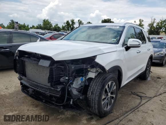 2020 Hyundai Palisade SEL с VIN KM8R2DHE9LU111857, выставлен на аукционе Copart как лот 64228164 с пробегом 27 802 миль миль и Списание • Salvage title. История ставок и продаж доступна на DreamBid. Изображение 1.