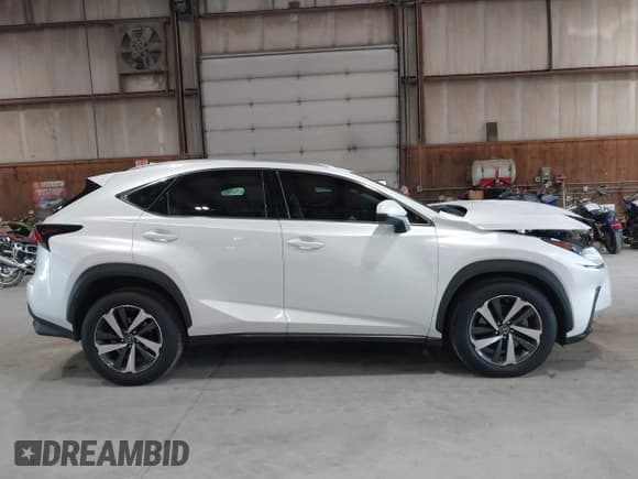✅ 2020 Lexus NX 300 • VIN: JTJGARDZ5L5002078 • Lot: 42604149. Listed on IAAI with 48,295 mi. Free auction sales archive from the USA and detailed vehicle history report at DreamBid. Image 14.