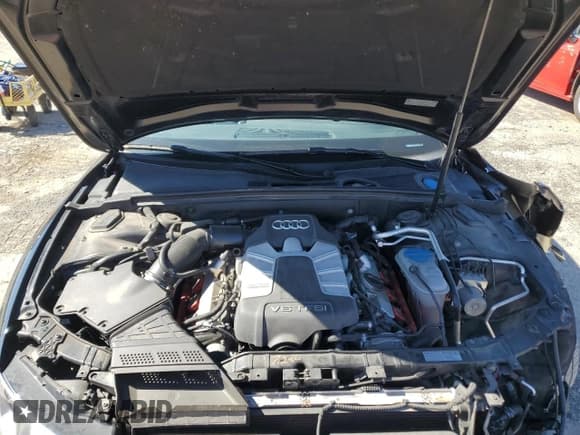 ✅ 2014 Audi S5 Premium Plus • VIN: WAUCGAFR9EA024638 • Lot: 81812725. Listed on Copart with 63,105 mi. Free auction sales archive from the USA and detailed vehicle history report at DreamBid. Image 11.