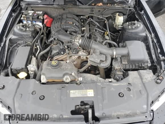 2014 Ford Mustang V6 с VIN 1ZVBP8AM6E5314618, выставлен на аукционе Copart как лот 85578705 с пробегом 185 934 миль миль и Списание • Salvage title. История ставок и продаж доступна на DreamBid. Изображение 11.