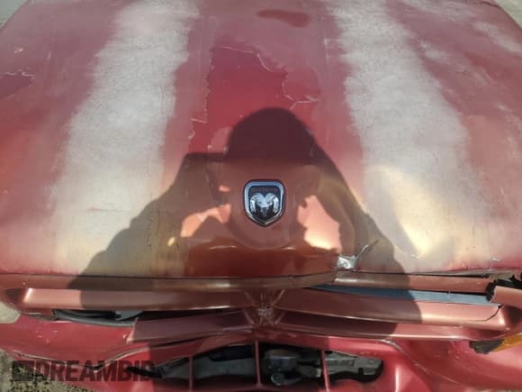 ✅ 1999 Dodge Durango • VIN: 1B4HR28Y4XF706309 • Lot: 58946095. Wystawiony na Copart z przebiegiem 124 984 mil. Bezpłatny archiwum sprzedaży aukcyjnych z USA i szczegółowy raport historii pojazdu na DreamBid. Zdjęcie 11.