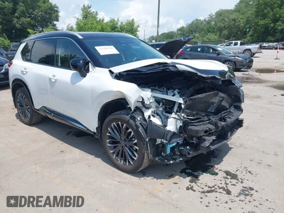✅ 2024 Nissan Rogue Platinum • VIN: JN8BT3DD0RW252182 • Lot: 42528928. Listed on IAAI with 22,607 mi. Free auction sales archive from the USA and detailed vehicle history report at DreamBid. Image 1.