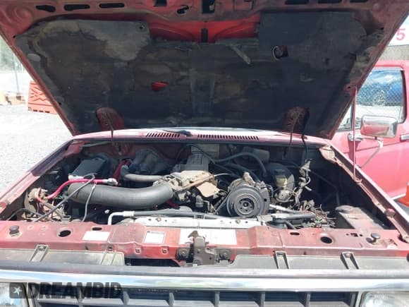 ✅ 1986 Ford Ranger • VIN: 1FTCR15T1GPA77845 • Lot: 42033135. Listed on IAAI with 27,474 mi. Free auction sales archive from the USA and detailed vehicle history report at DreamBid. Image 10.