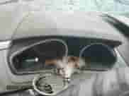 2011 Chevrolet Traverse LS с VIN 1GNKVEED6BJ197876, выставлен на аукционе Copart как лот 69856945 с пробегом Не указан миль и Чистый • Clean title. История ставок и продаж доступна на DreamBid. Изображение 9.